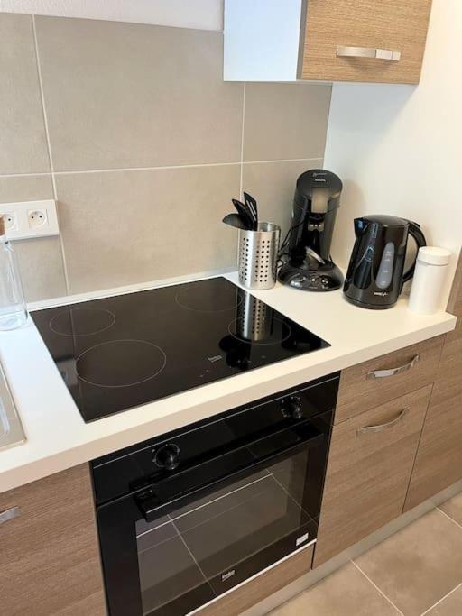 Rm-0 - Appartement F2 Au Rdc A Mulhouse Pour 1-2 Pers Luaran gambar